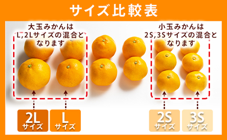 柑橘 山北みかん 大玉サイズ L・2L混合 約5kg 柑橘 yk-0079