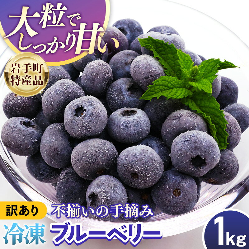 【ふるさと納税】 ブルーベリー 訳あり 冷凍 1kg 国産 大粒 果物 フルーツ ベリー 製菓用 スムージー ヨーグルト 朝食 ジュース 食物繊維 ビタミンE アントシアニン ジャム 健康 美容 くだものお取り寄せグルメ 食べ物 たべもの 食品 ご当地 特産品