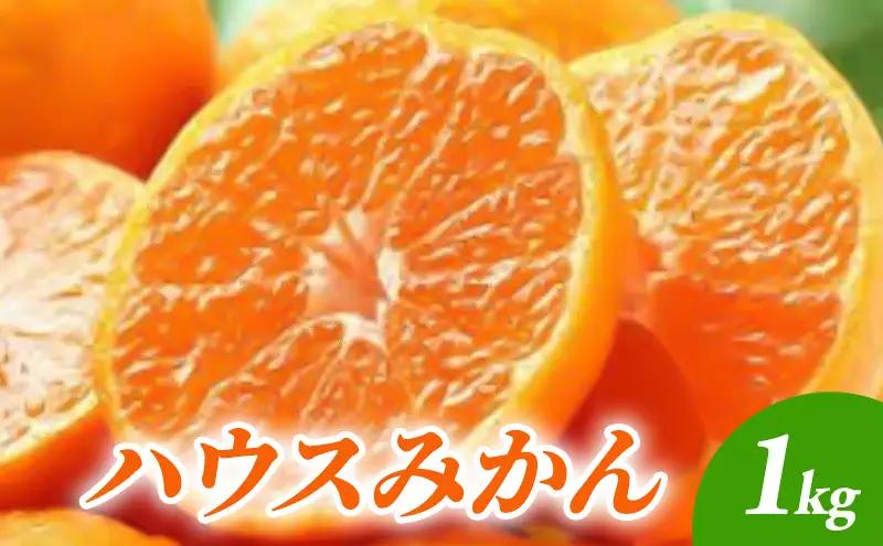 みかん ハウスみかん みかん【1kg】