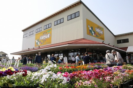 012-16じばさんずの冷凍ゆで落花生うでピー　6袋（約250ｇ/袋）/ 秦野名産 落花生 縁起豆 ゆで ピーナッツ 神奈川 冷凍 おつまみ おやつ お土産 家族 セット お酒のお供 冷凍