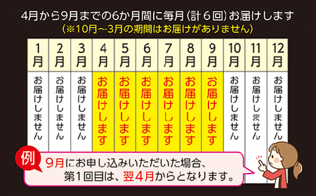 昭和21年創業 老舗の 極みハンバーグ 定期便 _k-5