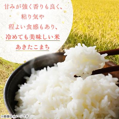 ふるさと納税 十和田市 令和7年産　青森県産あきたこまち白米(真空パック)　精米5kg |  | 02