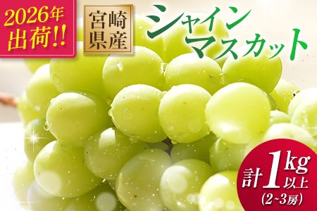 ＜2026年出荷＞人気の種なしぶどう！シャインマスカット 2～3房 計1kg以上 宮崎県産 【A256-26】