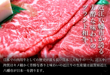 近江牛 すき焼き しゃぶしゃぶ 赤身 500g 【H002W】 牛肉すき焼き