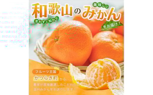 【先行予約】 和歌山県産温州みかん約5kg（約40個～60個）秀品　2025年11月初旬頃から2026年1月中旬頃順次発送予定【kgr032】