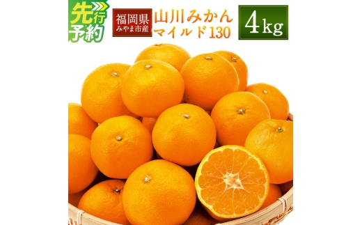 A2 山川 みかん 4kg マイルド130 数量限定 蜜柑 山川みかん ミカン 厳選 【2026年11月上旬～12月上旬迄順次発送予定】