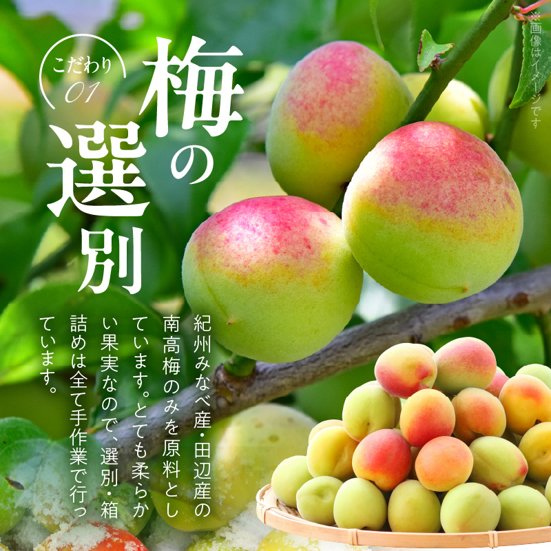 V7462_【1kg×2箱セット】しそかつお梅干し2kg[大玉]3Lサイズ　紀州南高梅　和歌山産(化粧箱入)/紀伊国屋文左衛門本舗 うめぼし 和歌山 南高梅
