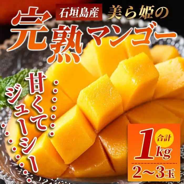 ［予約受付］美ら姫マンゴー1kg（完熟・アーウィン種）　CB-1