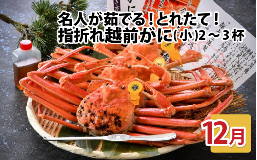 【先行予約】名人が茹でる とれたて指折れ越前がに(小) 2～3杯【12月発送分】 [C-4352_12]