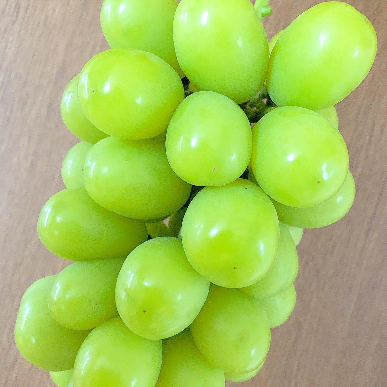 
            08-11-002　シャインマスカット1房（600g以上）
          