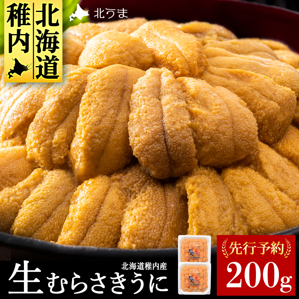 【うにの名産地稚内市】最北端の生むらさきうに(100gパック×2)