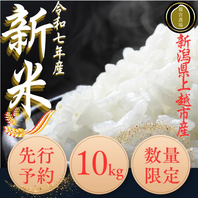 
            先行予約/令和7年産/上越市産/コシヒカリ/10kg/新米/精米/新潟/米/新潟県/こしひかり/限定/おすすめ
          