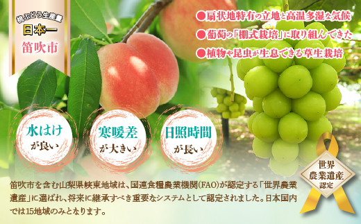 ＜2024年先行予約＞山梨県産 旬の桃 2kg以上(5～8玉)  180-004