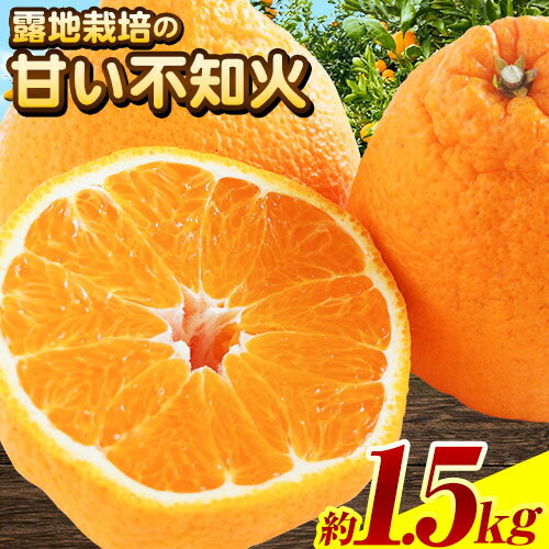 【先行予約】【ふるさと納税】露地栽培の甘い不知火(デコ) 6玉 約1.5kg きよ農園《2月末-3月末頃出荷》 柑橘 不知火 しらぬい フルーツ 果物 スイーツ 送料無料