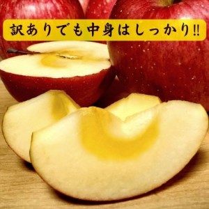 青森りんご サンふじ約3kg【訳あり・家庭用】【配送不可地域：離島・沖縄県・中国・四国・九州】【1379642】