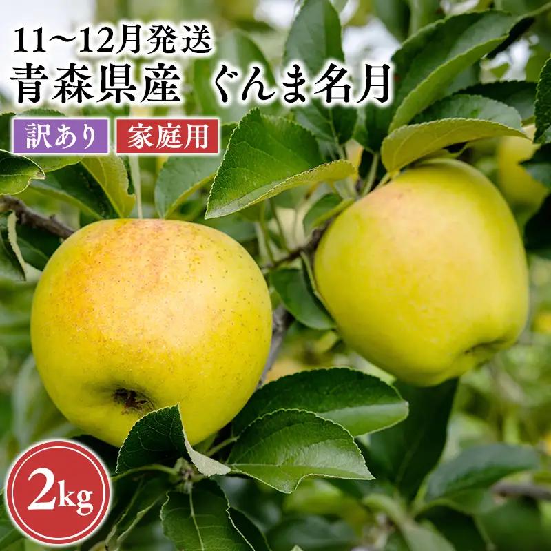 りんご 家庭用 ぐんま名月 約2kg りんご
