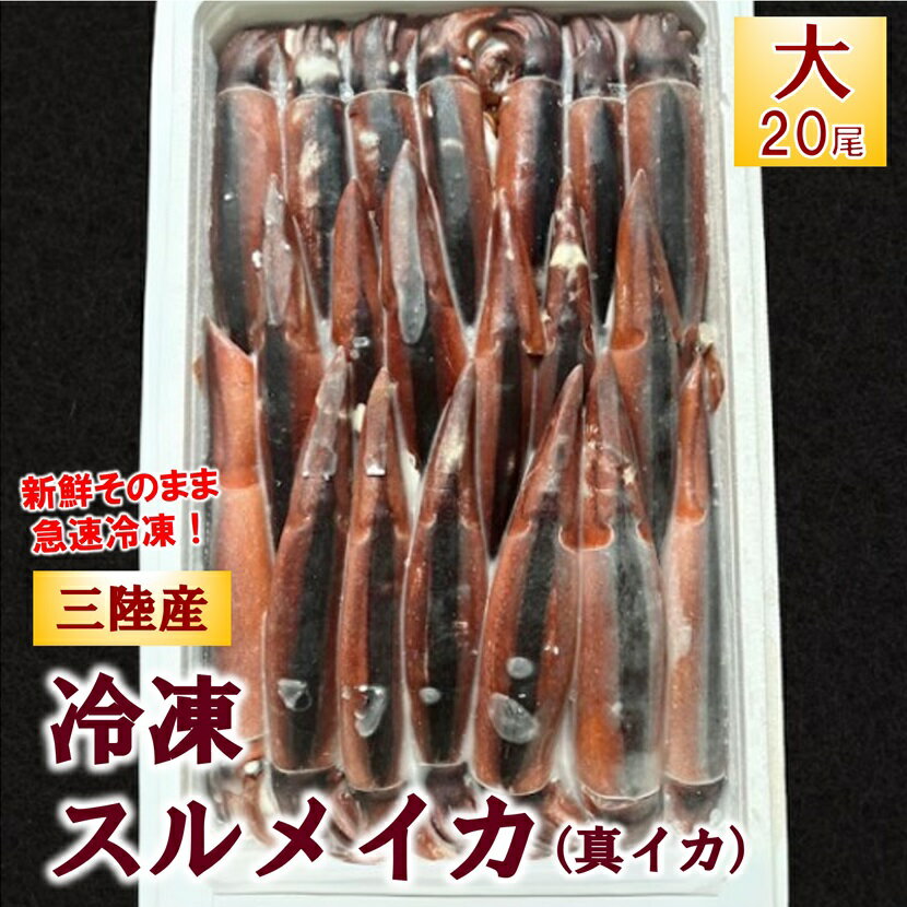 【ふるさと納税】 イカ 冷凍スルメイカ 大サイズ 1箱20尾入 鮮度抜群！いか スルメイカ 海鮮 海の幸 旬 春 夏 秋 冬 新鮮 鮮度抜群 刺身 塩辛 フライ 煮物 姿焼き げそ ゲソ いかめし イカ焼き 焼き物 天ぷら