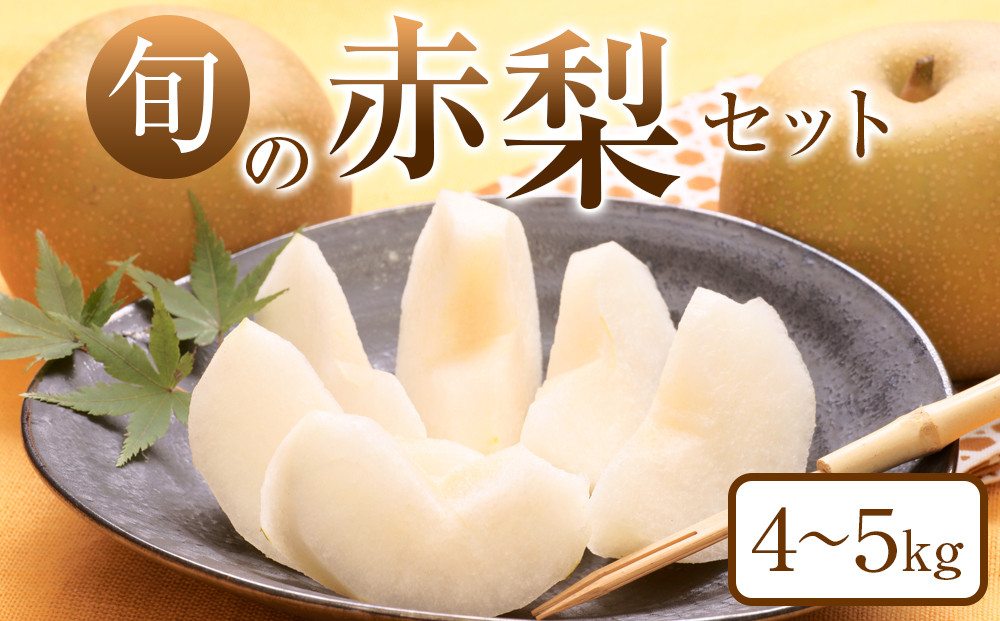 307.【先行予約】旬の赤梨セット　4～5kg前後◇　※2025年8月下旬～12月下旬頃に順次発送予定 313726_AN077