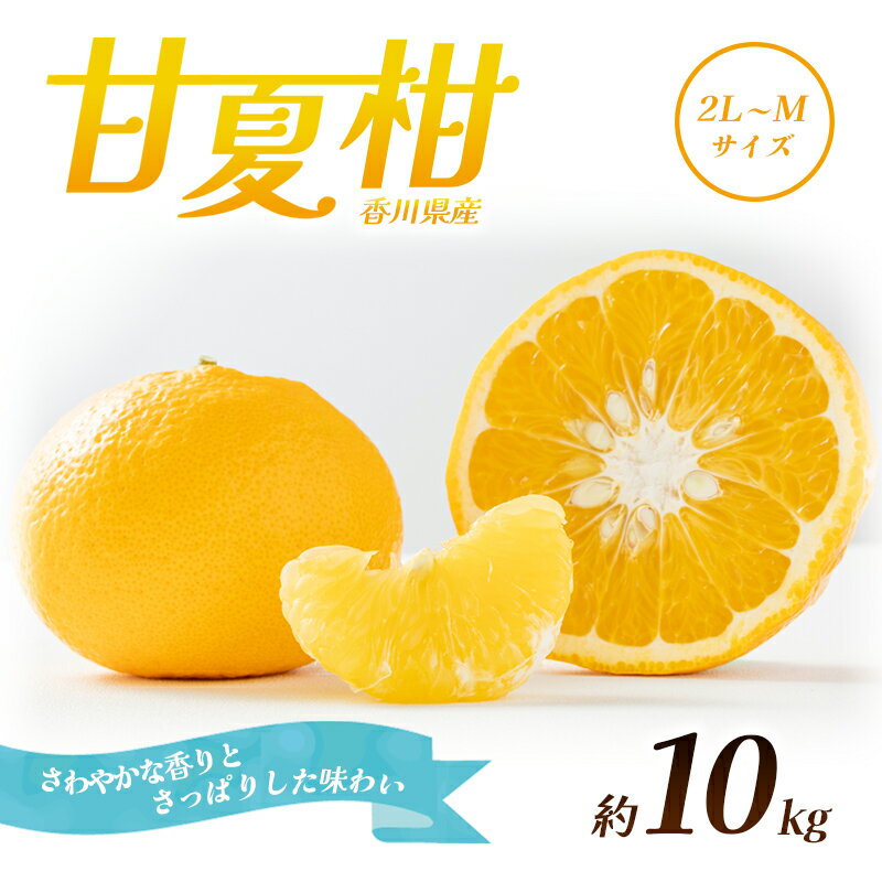 【ふるさと納税】【 小豆島 】甘夏柑　約10kg 果物類 フルーツ 柑橘類 さわやか 香り さっぱり 酸っぱさ すっきり 甘さ 苦み 　お届け：2026年4月上旬～2026年5月中旬