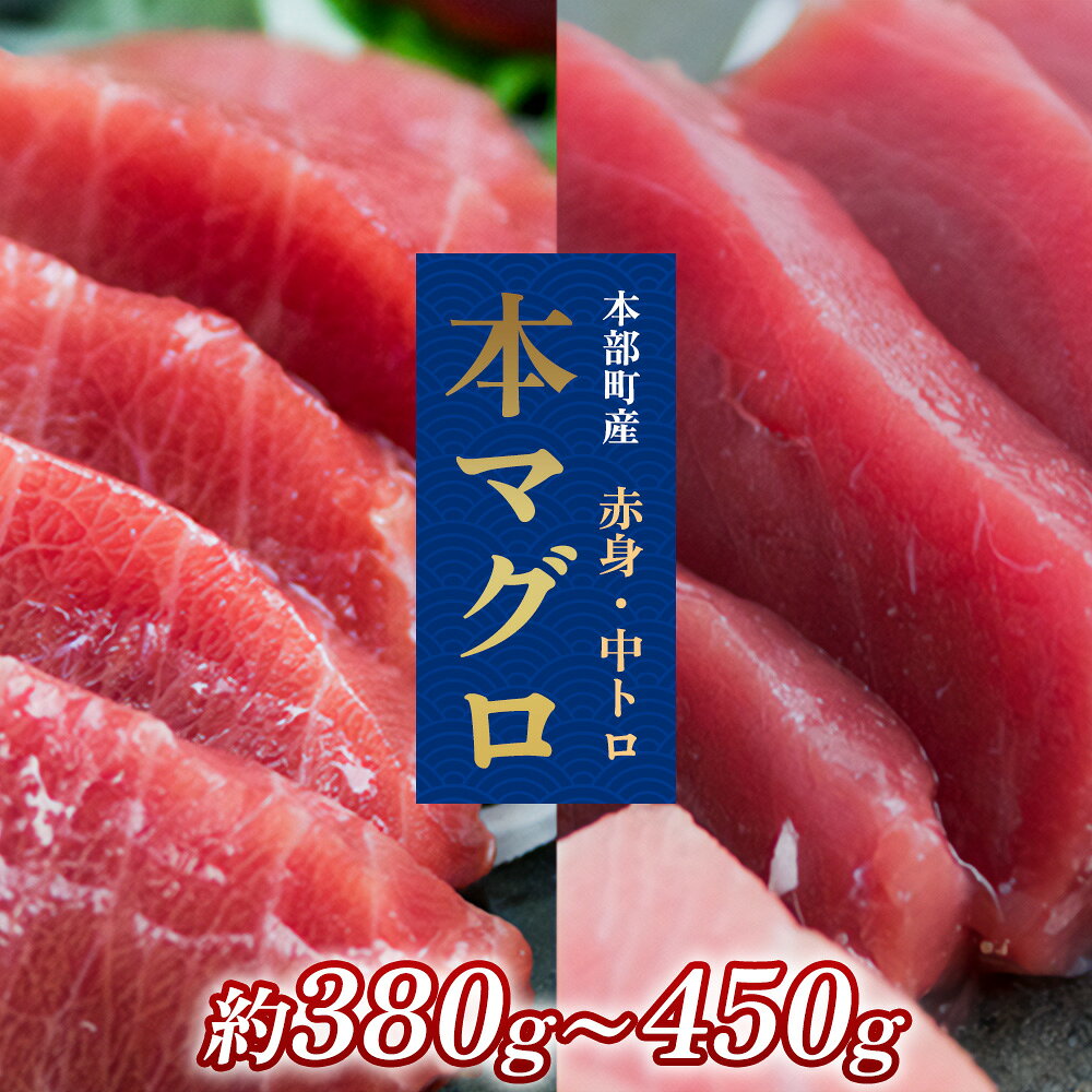 【ふるさと納税】本部町産　本マグロ（赤身・中トロ）セット 　約380g～450g