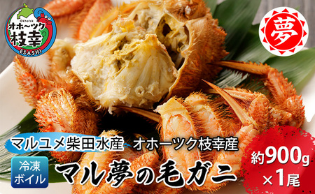 オホーツク枝幸産 マル夢の毛ガニ約900g×1尾【冷凍ボイル】柴田水産【 枝幸産 毛ガニ 蟹 かに カニ 北海道 オホーツク 枝幸 】