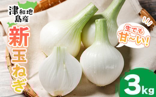 【先行予約】 津和地新玉ねぎ 3kg【津和地ブランド玉ねぎ】| たまねぎ 玉ねぎ タマネギ オニオン ブランド玉ねぎ 新玉ねぎ 津和地島産 野菜 島野菜 農家直送 期間限定 ドレッシング スープ おすすめ 旬 愛媛県 松山市