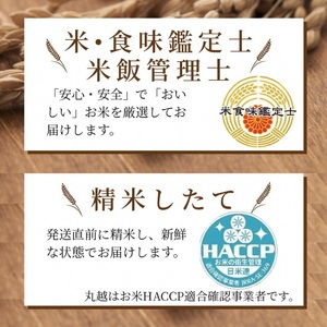 京都丹波産こしひかり・きぬひかり 各5kg 10kg 精米 白米