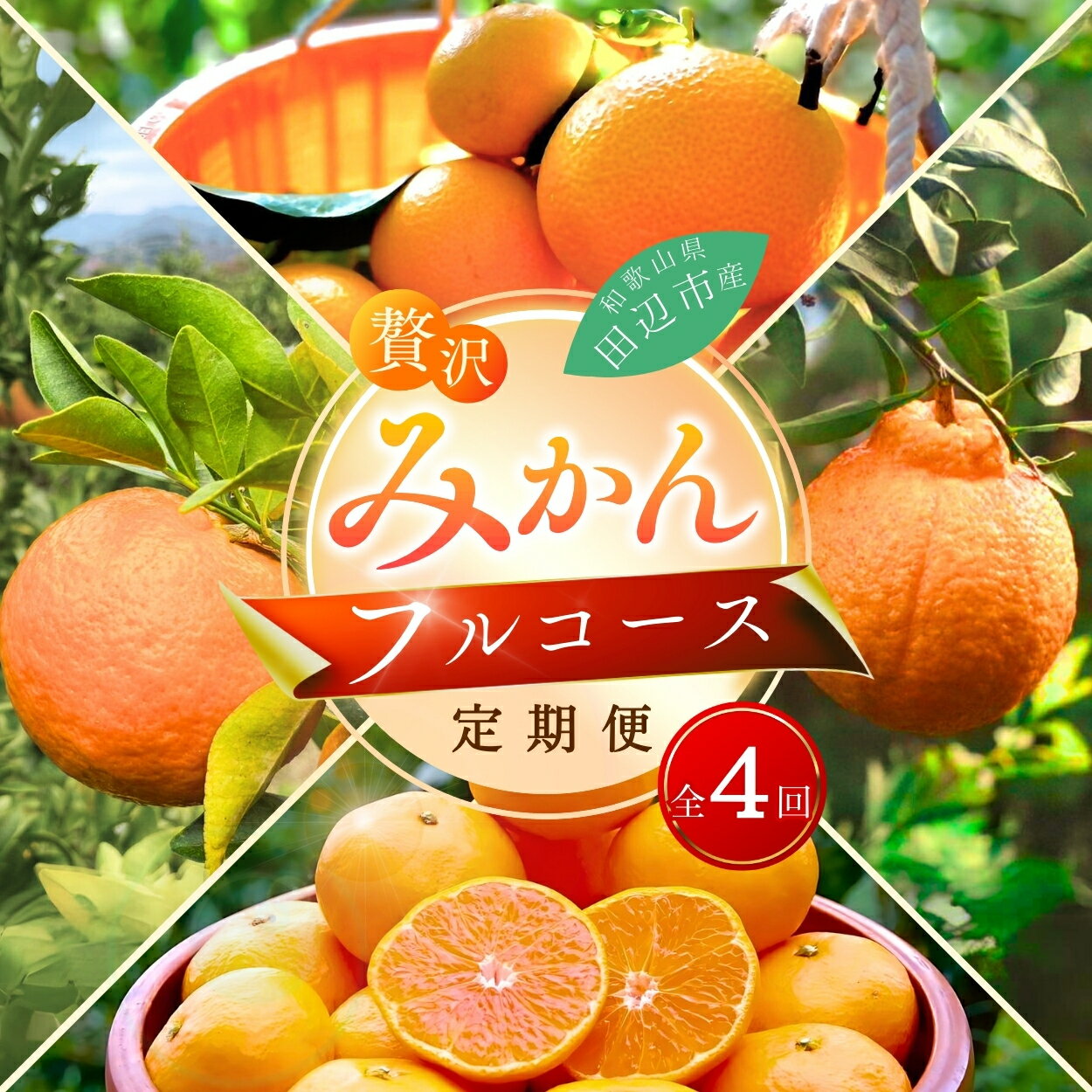【ふるさと納税】 【23日まで期間延長！】【4回定期便】和歌山 贅沢みかんフルコース ※2025年12月より発送（期間限定・12/20まで）/ 宮川早生みかん・ポンカン・紅八朔・不知火 / 3kg 4kg 和歌山県 ミカン フルーツ 果物 柑橘 デコポン 高級 田辺市 みかん くだもの