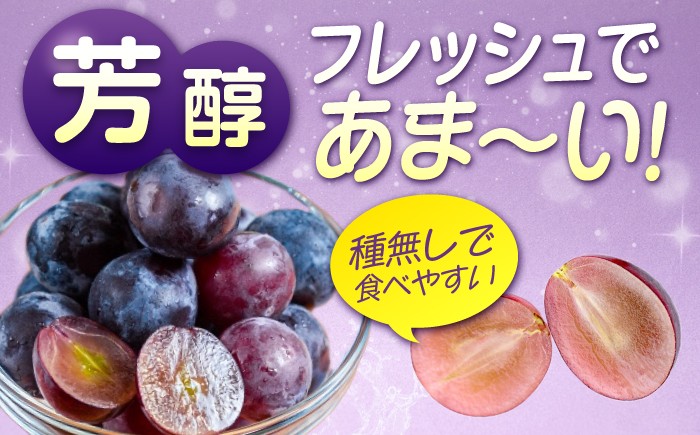 食べやすい種無しピオーネ 果物 ぶどう ブドウ 葡萄 ピオーネ 大粒 2kg 