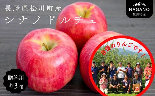 KR23 りんご シナノドルチェ 約3㎏ 贈答 ／2026年9月中旬頃～配送予定｜ 長野県 南信州 ギフト 贈答 リンゴ 林檎 シナノドルチェ 農家直送 農家支援 産地直送