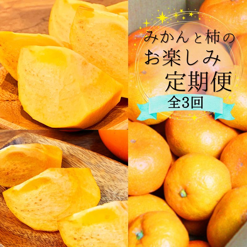 【ふるさと納税】【10・11・12月 全3回】和歌山産 みかんと柿のお楽しみ 定期便 【魚鶴商店】【UT111】 | フルーツ 果物 くだもの みかん 柿 食品 人気 おすすめ 送料無料