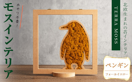 モスインテリア「ペンギン」(フォールイエロー) ＜横200mm・高さ200mm・幅15mm＞ 観葉植物  苔 コケ テラモス インテリア 植物 【結び】 sh030-D