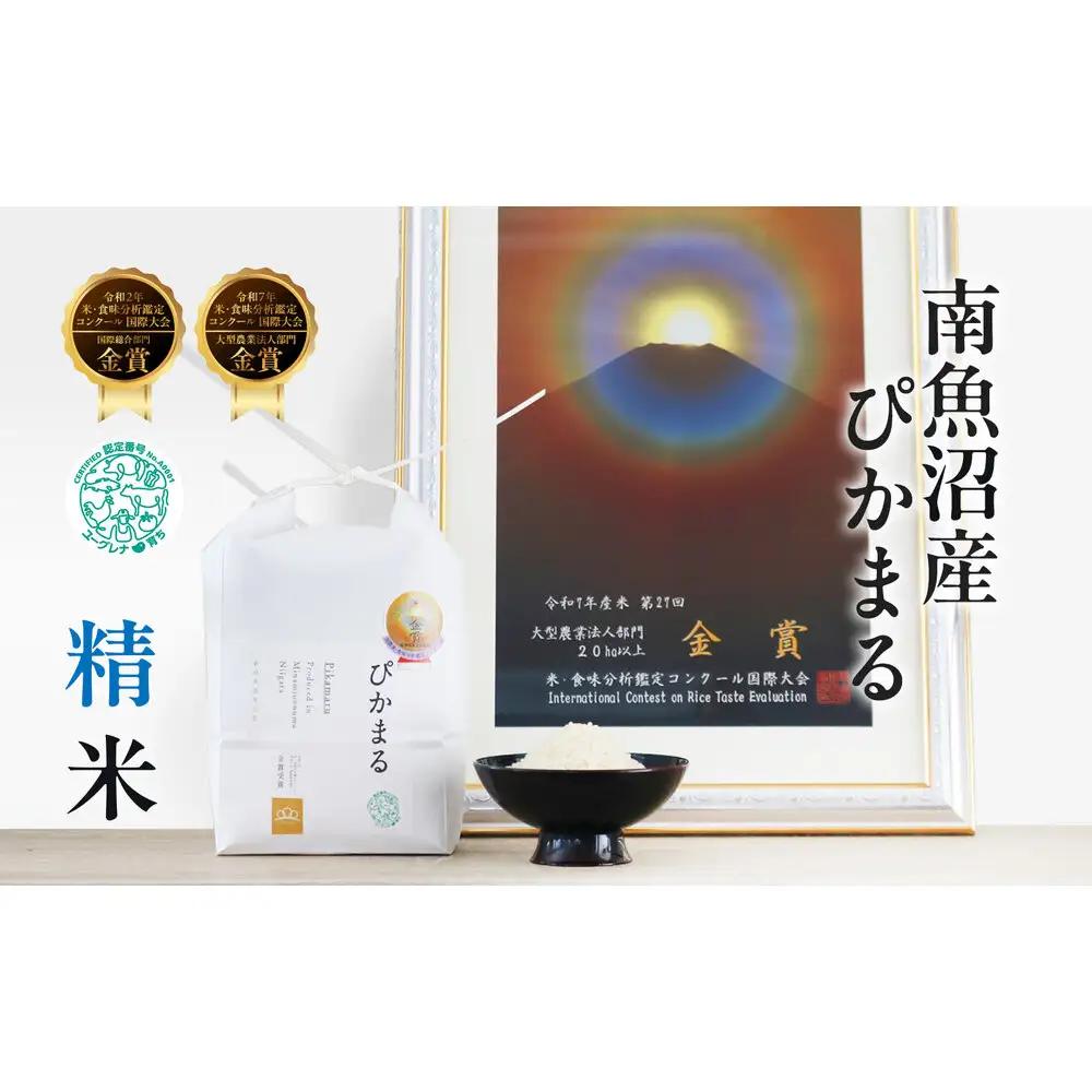 【令和8年新米予約】精米5kg 南魚沼産ぴかまる 金賞受賞（米・食味分析鑑定コンクール）・農家直送_AG【令和8年11月上旬から1ヶ月以内に順次発送予定】|新米