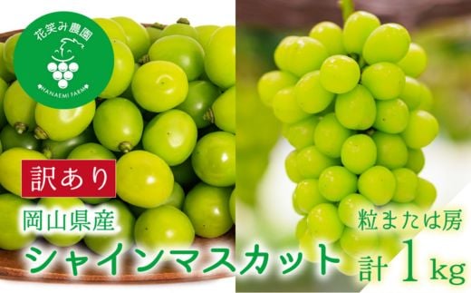 ＜2026年先行受付＞岡山　花笑み農園の『訳ありシャインマスカット』1kg　WS-1【1628321】