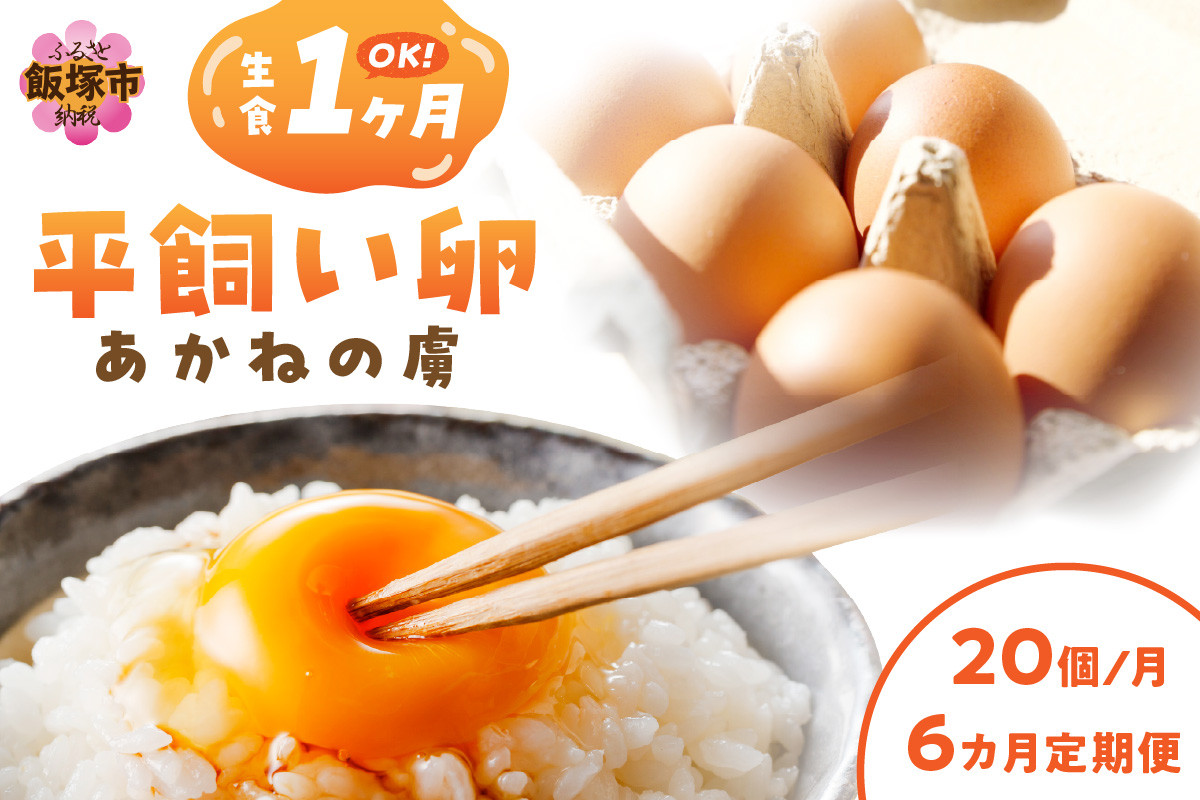 
            〈平飼い卵〉あかねの虜（20個/月）【6カ月定期便】【E4-004】 卵 たまご 玉子 平飼い TKG 卵かけごはん 生卵 鶏卵 定期 定期便 6回 飯塚市 飯塚 
          