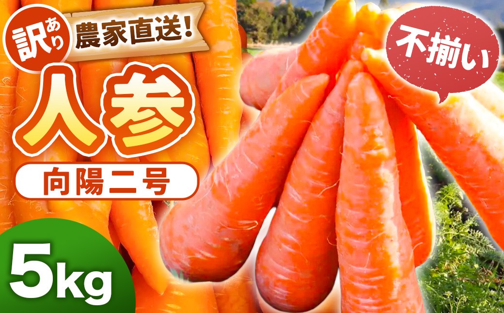 
                  【先行予約】【訳あり】農家直送！ 不揃い 人参 （向陽二） 5kg 【2026年12月発送予定】 にんじん ニンジン ZS-6137
                