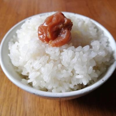 ふるさと納税 木津川市 森井ファームのお茶とお米のセット |  | 03