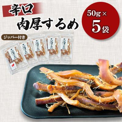ふるさと納税 桂川町 【福六】辛口肉厚するめ 50g×5袋