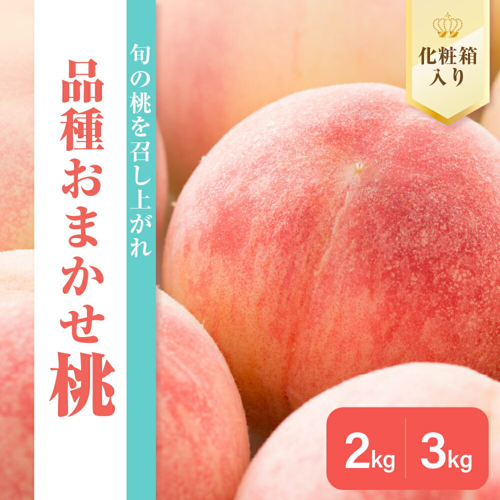 【ふるさと納税】【 先行予約 数量限定 】 令和7年産 もも 2kg (5～7玉) / 3kg (8～11玉) ( 化粧箱 ) 品種おまかせ 〔8月中下旬～9月上旬頃お届け〕 2025年産 内容量が選べる 桃 モモ 化粧箱入 お任せ フルーツ 果物 送料無料 山形県 米沢市