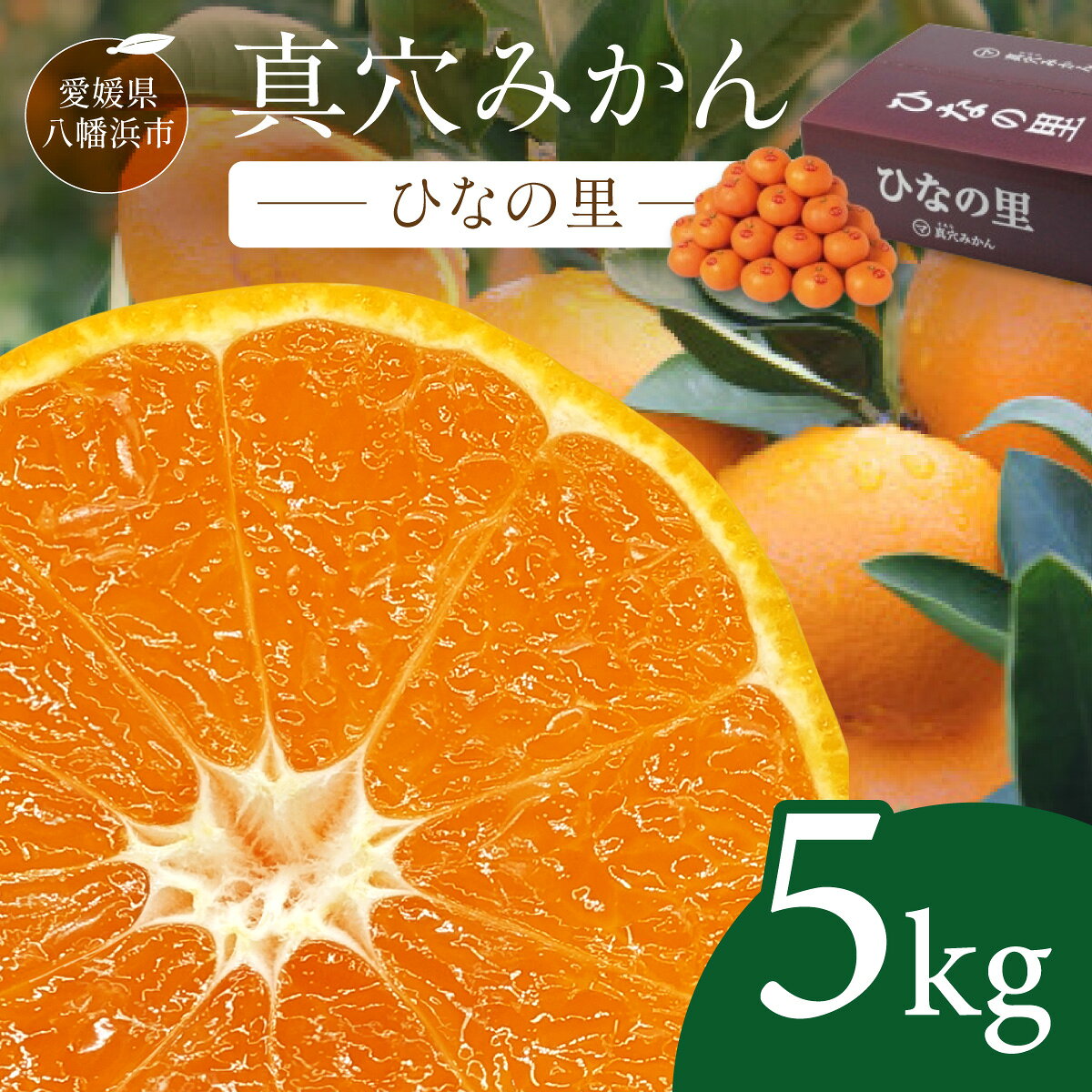 【ふるさと納税】【先行受付】真穴みかん 【ひなの里】 5kg【F43-1】_【1490392】 みかん 蜜柑 ミカン 愛媛みかん 愛媛 真穴 国産 箱 送料無料 農家直送 産地直送 柑橘 かんきつ 温州みかん 旬 フルーツ 果物 くだもの　YWTAG001