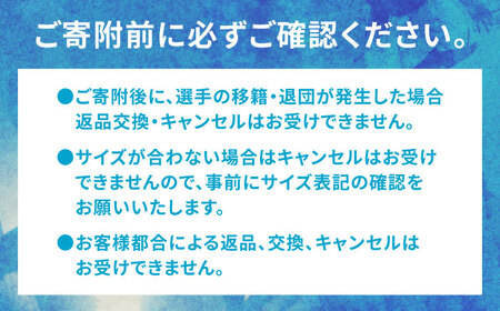【ナンバー・ネームあり】SAGA BALLOONERS 公式レプリカユニフォーム（ホーム） / バスケットボール プロ スポーツ 公式グッズ / 佐賀県 / 佐賀バルーナーズ[41AAAI008]