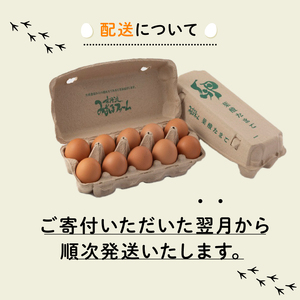 【定期便】葉酸たまご20個 6回 定期便 定期 京都 こだわり卵 ( 卵 たまご 濃い こだわり 玉子 セット 玉子焼き 卵焼き 卵かけご飯 ゆで卵 鶏卵 卵黄 葉酸 栄養 贈答 お歳暮 お中元 ギフ