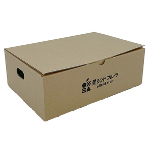  【発送は1月下旬から】 松山市中島産 甘平 秀品　5～6個入り 国産 愛媛みかん 愛媛ミカン みかん ミカン mikan 蜜柑 柑橘 フルーツ 果物 くだもの お取り寄せ 産地直送 数量限定 人気 