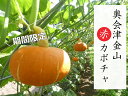 【ふるさと納税】【2週間限定】奥会津金山赤カボチャ(2個入)　　福島県　金山町　かぼちゃ　赤かぼちゃ　期間限定　甘い　ホクホク　希少