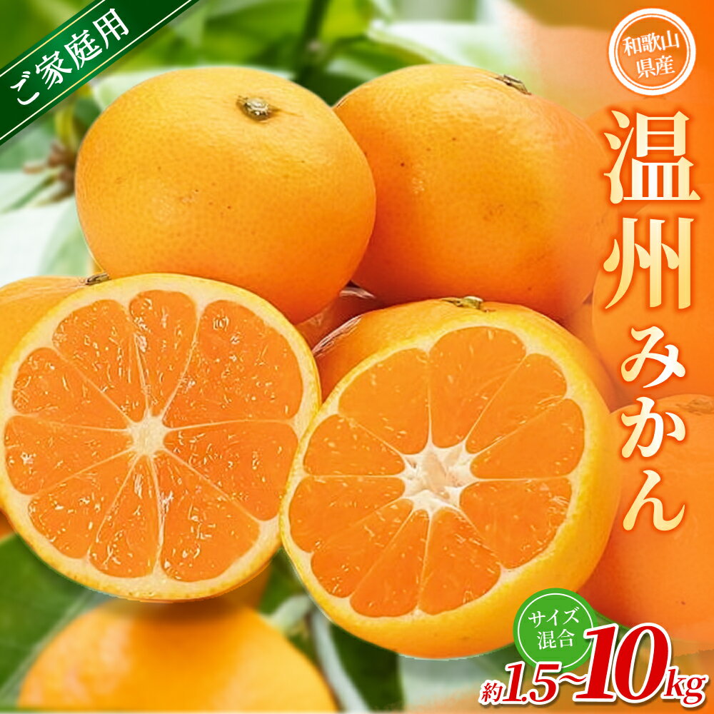 【ふるさと納税】 家庭用 みかん / 手選別 温州みかん 和歌山 甘い 【選べる容量】約1.5kg・4.5kg・6kg・8kg・10kg ※2025年11月上旬～2026年2月中旬ごろに順次発送