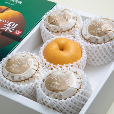 【2026年先行受付】あたご梨(4〜9玉)4kg化粧箱【1184117】