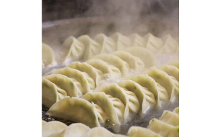 手作り冷凍餃子 50個 (23g×10個入り 5パック)定期便 全3回 餃子 ぎょうざ 手作り おかず おつまみ 人気 グルメ 冷凍 食品 関東 F5K-528