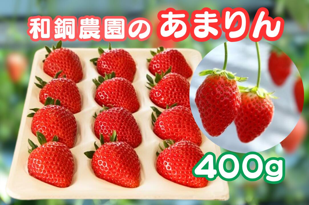 【ふるさと納税】 和銅農園のあまりん　400g ／ いちご あまりん 甘い ジューシー 香り高い フルーツ 400g 冷蔵 新鮮 ザート おやつ 高糖度 詰合せ 農園直送 果物 フルーツ 苺 イチゴ ジャムのように香り高い 大粒 厳選 朝採り 平成28年デビュー 特産 送料無料 埼玉県 No.631