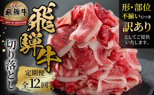 《定期便》 12回 訳あり 飛騨牛 切り落とし 500g 肉 飛騨牛 定期 切落し 飛騨高山ミート 120,000円  | 冷凍真空パック 肉 お肉 黒毛和牛 和牛 人気 おすすめ 牛肉 [MZ112]