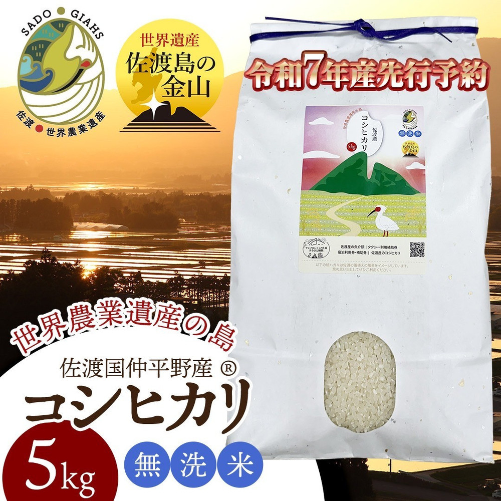 【先行予約】【新潟県佐渡】国仲平野産コシヒカリ＜数量限定・生産地域限定＞ 令和７年産 精米【無洗米】5kg 送料無料